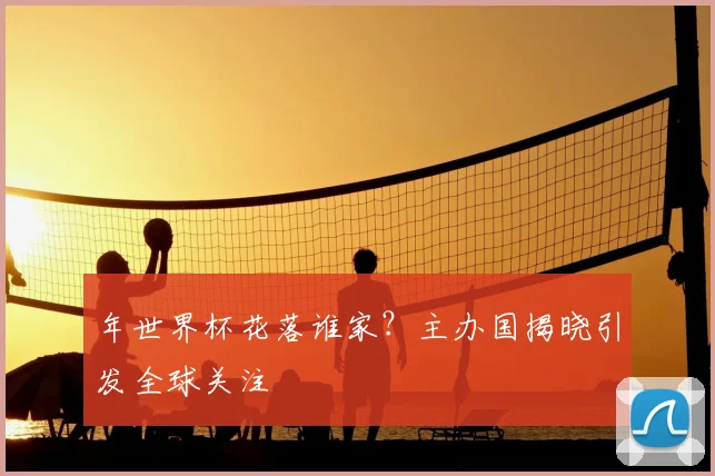 年世界杯花落谁家？主办国揭晓引发全球关注