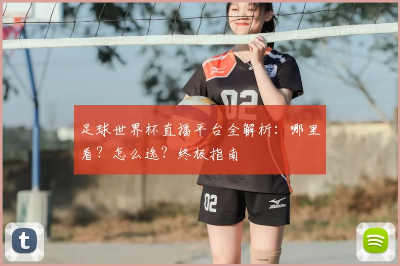 足球世界杯直播平台全解析：哪里看？怎么选？终极指南