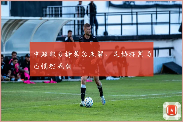中超积分榜悬念未解，足协杯黑马已悄然亮剑