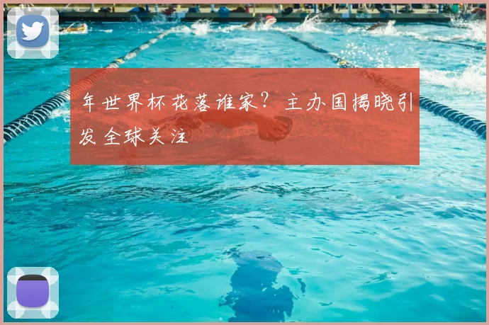 年世界杯花落谁家？主办国揭晓引发全球关注