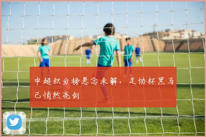 中超积分榜悬念未解，足协杯黑马已悄然亮剑