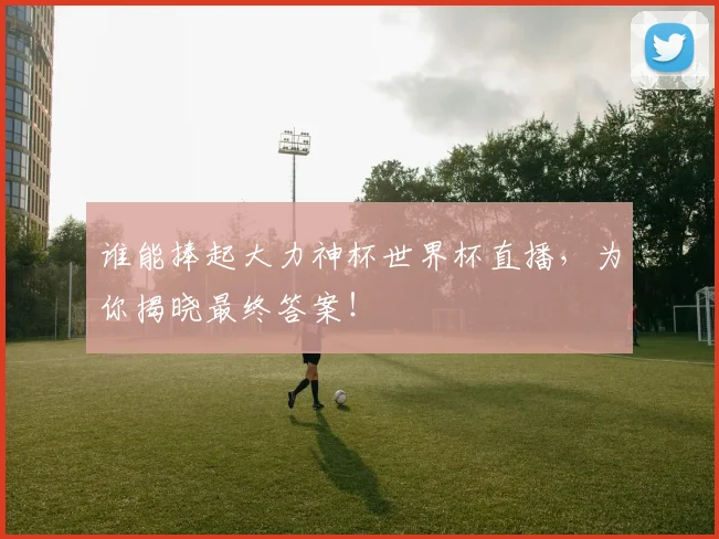 谁能捧起大力神杯世界杯直播,为你揭晓最终答案!
